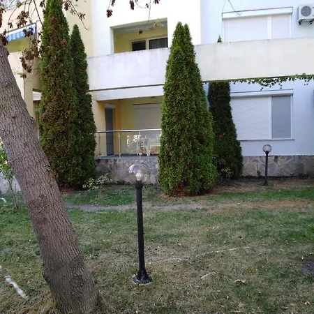 Guest Yassen-d סאני ביץ'
